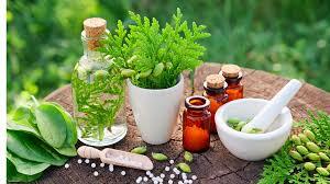 Understanding Homeopathy: A Comprehensive Guide