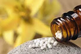 Homeopathy 101: Understanding the Basics and Benefits